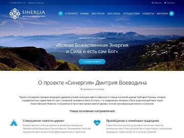 Кейс: создание сайта для проекта «Синергия» Дмитрия Воеводина